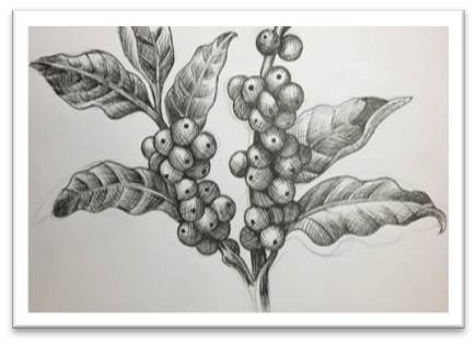 Nature Study Drawing by Pooja Chauhan - Pixels